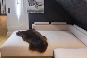 Lammfell Braun M – 90-100x55 cm - Echtes Schaffell, Natürliche Teppich für Wohnzimmer, Flauschiges Deko-Fell für Schlafzimmer
