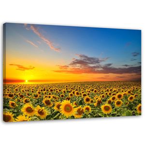 Feeby Leinwand, Sonnenblumen HORIZONTAL, hochwertiger Druck, Wanddekoration, Wandbild, Größe:120x80