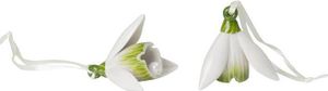 Villeroy & Boch Mini Flower Bells Zestaw przebiśniegów 2 szt.