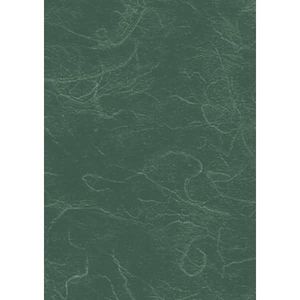 HEYDA 204718559 Strohseide 50 x 70 cm dunkelgrün