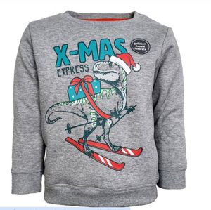 Weihnachten - Winter - Pullover - Weihnachten - Dinosaurier - Kinder - Jugendliche - Grau - Größe 128