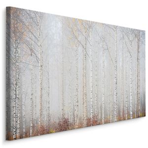 Fabelhafte Canvas LEINWAND BILDER 120x80 cm XXL Kunstdruck Wald Bäume Birken Nebel
