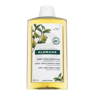 Klorane Purifying Shampoo čisticí šampon pro normální až mastné vlasy 400 ml