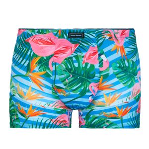 Bruno Banani Herren Short Summer Vibes Flamingo Print