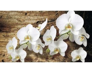 Fototapete Vlies 1017 VEXXXL Orchidee auf Brett 4-tlg. 416 x 254 cm