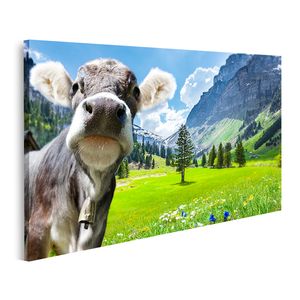 islandburner Bild auf Leinwand Kuh in den Schweizer Alpen
