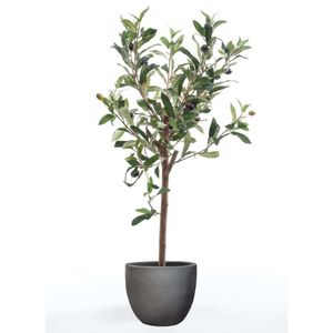 Maison Exclusive Umelý olivovník 65 cm