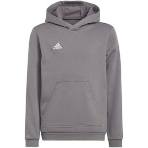Adidas Sweatshirts Entrada 22 Hoody, H57515, Größe: 159