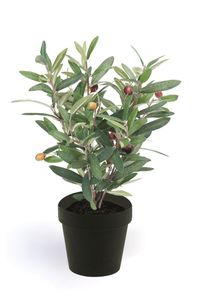 künstlicher Olivenbaum Bäumchen im Topf H. 35cm Emerald Topfpflanze