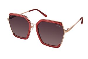 Guess GF0418/69T Frauen Sonnenbrille