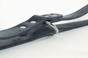 Beeztees Trainingsleine Leder Schwarz 240x1,8 cm 736396