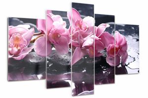 Tulup Bild Glasbild 5 Teile 170x100 cm Wandkunstdrucke - Rosa Orchidee