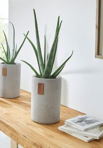 Dekovase / Übertopf "Tube" aus Beton, grau, Pflanztopf, Vase für Trockenblumen, Pflanzgefäß, Blumentopf, Blumenübertopf