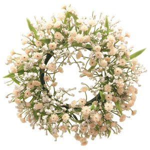 Gypsophila Muralis - wreath pink - 12 cm
