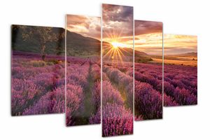 Tulup Bild Glasbild 5 Teile 170x100 cm Wandkunstdrucke - Lavendelfeld
