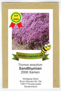 Sandthymian – Thymus serpyllum – hervorragender, duftender Bodendecker – 2000 Samen