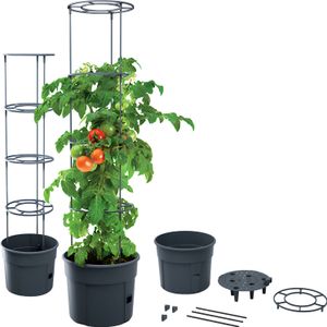 Sadzarka do pomidorów Prosperplast TOMATO GROWER 29,5 cm antracytowa