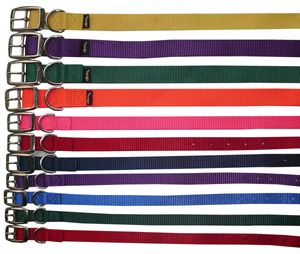 Hundehalsband Prism Choice aus Nylon 1,9 cm breit Halsband für Hunde  Halsband Hund