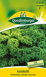 Quedlinburger Saatgut - Grünkohl Halbhoher grüner krauser - Samen - 426544