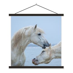 MuchoWow® Textilposter Pferd flüstert einem anderen Pferd in der Camargue etwas zu 40x40 cm mit schwarzem Rahmen - Fotos