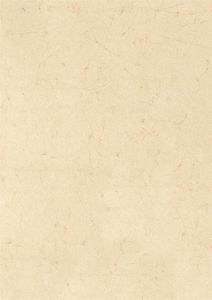 Elefantenhaut 50x70cm 110 g/qm weiß Packung mit 10 Stück