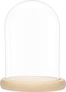 BELLE VOUS Glasglocke mit Holzboden - 20cm hohe Glaskuppel mit Holzboden - Glasglocke Groß Deko - transparente Glas Glocke - Glaskuppel Deko -