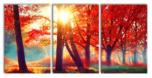 Bunte Herbstbäume sonnenbestrahlt, XXL Leinwandbild in Übergröße 240x120cm Gesamtmaß 3 teilig / Wandbild / Kunstdruck