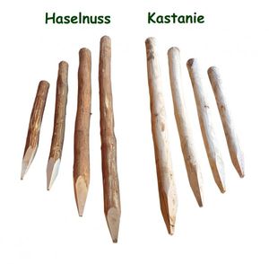 Zaunpfosten Haselnuss oder Kastanie - Holzpfosten geschält und angespitzt Haselnuss 180 cm 6-10 cm