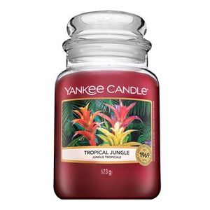 Yankee Candle Tropical Jungle Duftkerze 623 g
