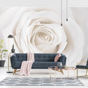 Rosentapete - Fototapete Rosen - Pretty White Rose - Blumen - Vliestapete Breit, Größe HxB:225cm x 336cm