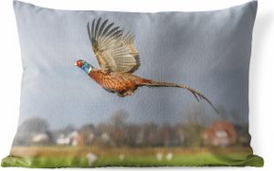 MuchoWow® Outdoor Kissen - Fasan - Federn - Flügel - 60x40 cm - Wetterfest - Lounge Kissen - Zierkissen - Kissen für Innenräume
