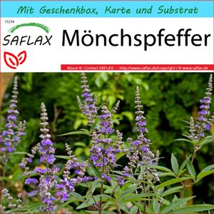 SAFLAX - Geschenk Set - Heilpflanzen - Mönchspfeffer - 30 Samen - Mit Geschenk- / Versandbox, Versandaufkleber, Geschenkkarte und Anzuchtsubstrat - Vitex agnus-castus