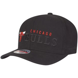 Mitchell & Ness Stretch Snapback Cap ALLEY OOP Chicago Bulls
