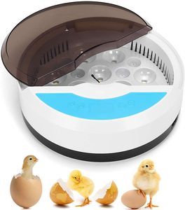 Brutautomat Vollautomatisch 9 Eier Inkubator Brutmaschine Brutkasten für Hühner Enten als Kinder Geschenk
