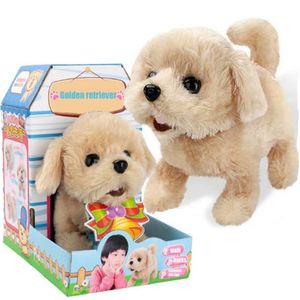 MalPlay Elektronisches Plüschtier | Golden Retriever Hund Interaktives Spielzeug | mit Gehen, Bellen, Schwanzwedeln Funktion | für Kinder Geburtstagsgeschenk