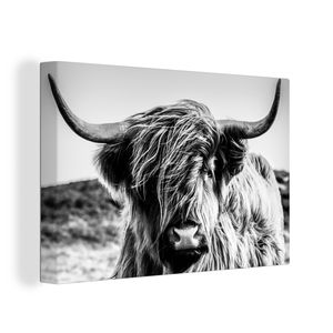 OneMillionCanvasses® - Leinwandbilder - 120x80 cm, Kuh - Schottische Hochlandrind - Schwarz - Weiß - Tier - Natur - Wildnis, Wandbilder Kunstdruck Wanddekoration - Foto auf Leinwand -