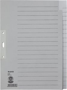 LEITZ Tauenpapier Register blanko A4 20-teilig grau