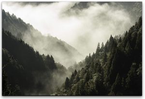 Wald mit Nebel Wandbild in verschiedenen Größen 80x120cm