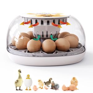 Inkubator Vollautomatisch, Brutmaschine 12 Eier-Brutapparat mit Display, Temperaturregelung Ei Inkubation Hatcher für Hühnergans, Ente, Taube, Wachtel