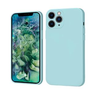 Hülle für iPhone 11 Pro Max Case Cover Bumper Silikon Softgrip Schutzhülle Farbe: Hellblau