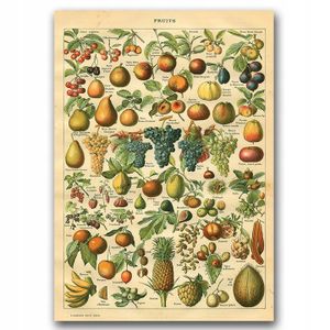 Retro-Poster Obst Vintage Adolphe Millot A3 (29,7 cm x 42 cm)