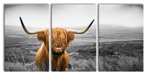 Highland Rind mit großen Hörnern Steppe B&W Detail, XXL Leinwandbild in Übergröße 240x120cm Gesamtmaß 3 teilig / Wandbild / Kunstdruck