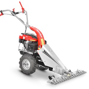 HECHT 587 Balkenmäher | mit Antrieb | 87 cm Schnittbreite | 4,9 PS | 196 cm³ | Stufenlose Schnitthöhenverstellung