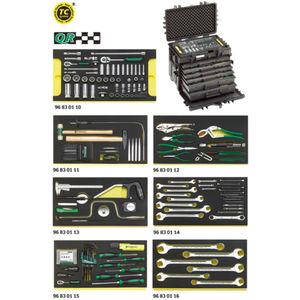 13224a WT/TS AOG-Kit für Flugzeuge im Werkzeug-Trolley Nr.13217 154 Werkzeuge 28.4 kg