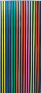 Vorhang / Streifenvorhang Conacord Multicolor Länge 200cm