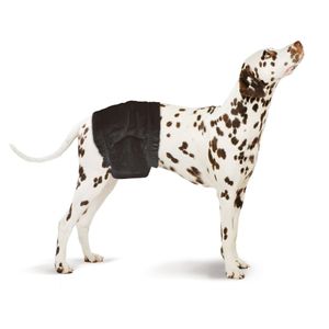 SwissPet Einweg-Hundewindeln für Rüden, Größe L-XL für Taille von 60 - 80 cm, 8 Stück