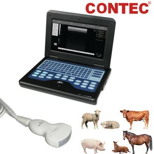 Veterinär-Digital-tragbarer Ultraschall-Scanner-Maschinen-Laptop, konvexe Sonde
