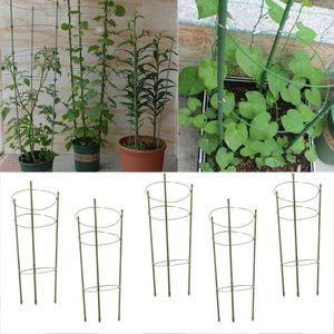 5pcs Tomatenturm Aufzuchtturm Rankturm mit Rankhilfe für  Zimmerpflanzen und Kletterpflanzen mit Ringe