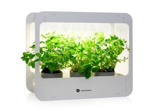 LED Minigewächshaus mit Vollspektrum Pflanzenlampe Wachstumslampe Samen Anzucht