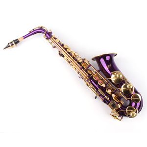 Karl Glaser Eb (Es) Alt Saxophon mit Koffer Mundstück & Blättchen violett